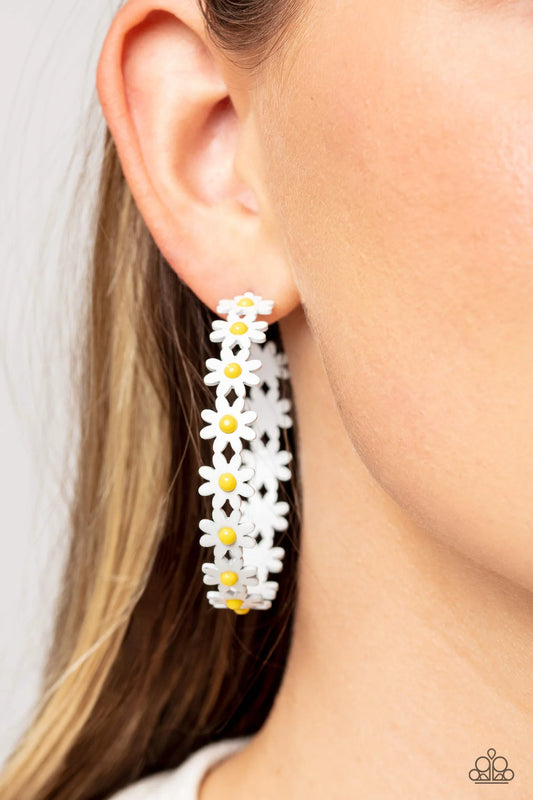 Daisy Disposition
