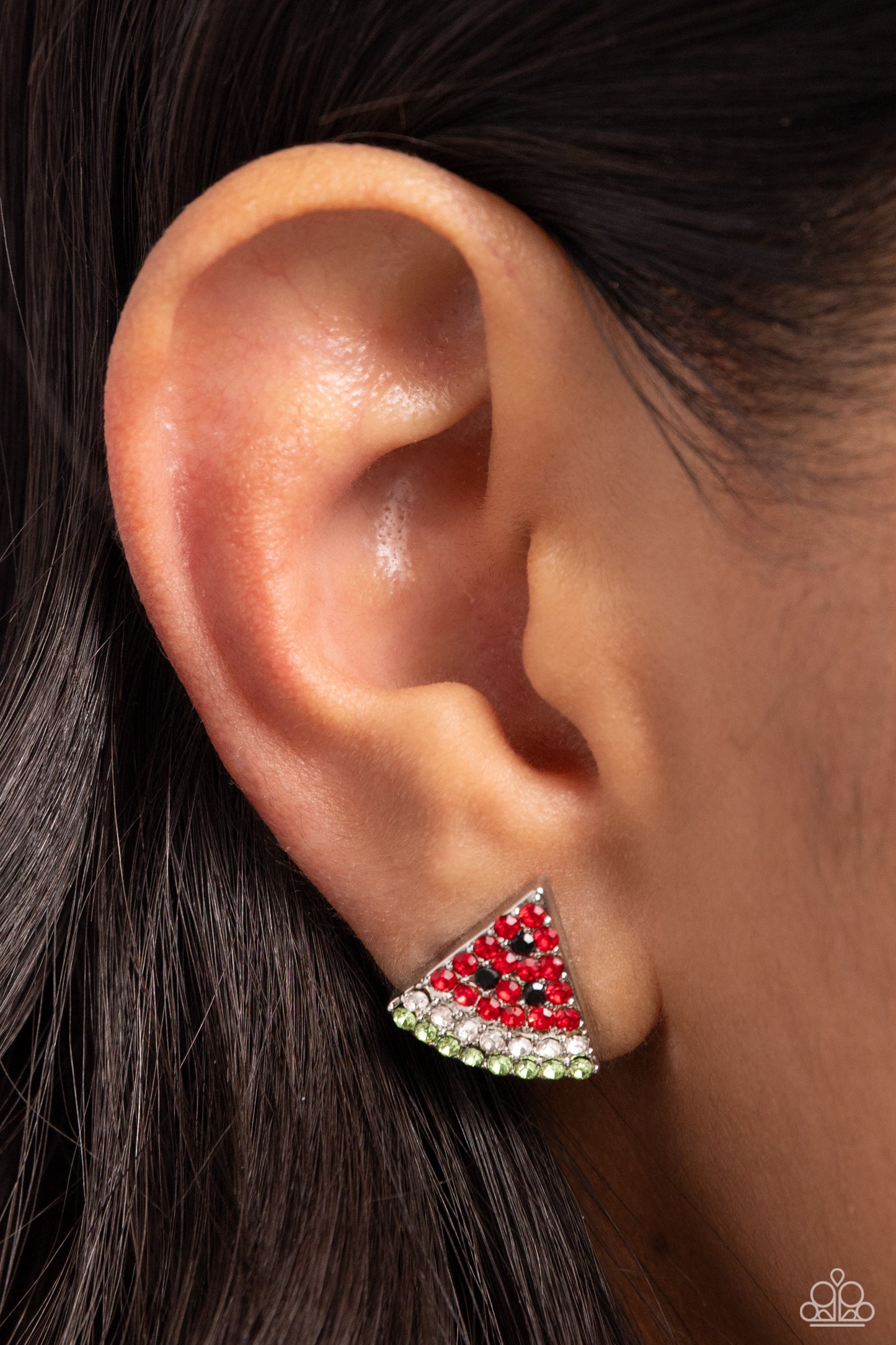 Watermelon Slice - Red Earring